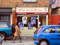 Lily Of The Valley image