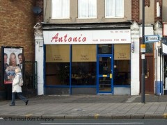 Antonio image