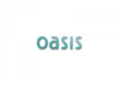 Oasis Stores image