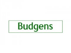 Budgens image