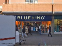 Blue Inc image