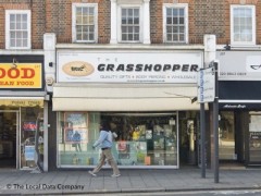 Grasshopper image