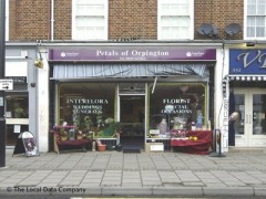 Petals Of Orpington image