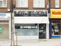 White Orchid image
