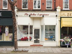 Bellus Experience image