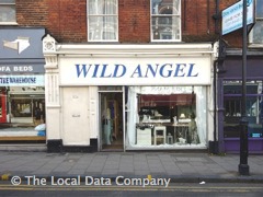 Wild Angel image