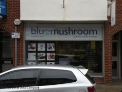 Blue Mushroom image