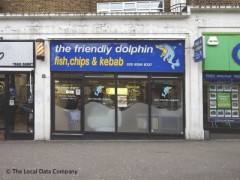 Friendly Dolphin image