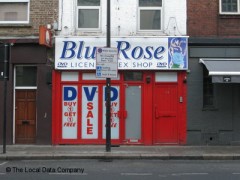 Blue Rose image