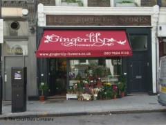 Gingerlily image