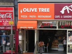 Olive Tree image