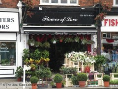Flower Of Love image