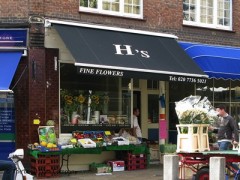 H's image