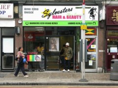 Sylvesters Hair image