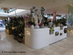 Galton Flowers image
