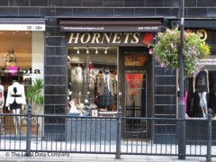Hornets image