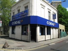 Coral image