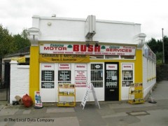 Bush image