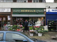 Sewell's image