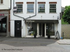 Willow Hair image
