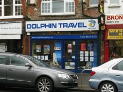 Dolphin Travel image