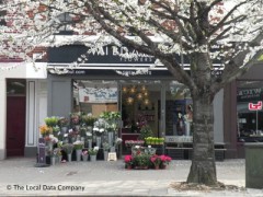 All About Flowers image