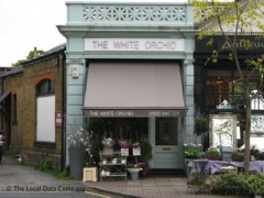 The White Orchid image