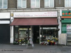 Anthuriums image