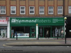 Hammond Roberts image