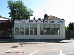 Hair Of The Dog image