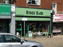 Brook Buds image