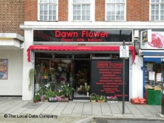 Dawn Flower image