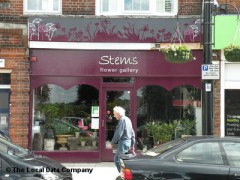 Stems Flower Gallery image