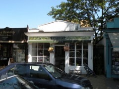 Canopy image