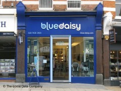 Blue Daisy image