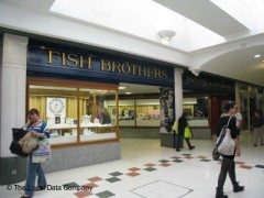 Fish Brothers image