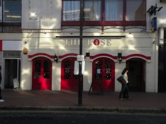 The Rose image