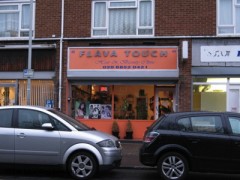 Flava Touch image
