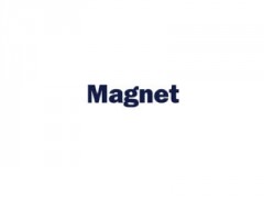 Magnet image