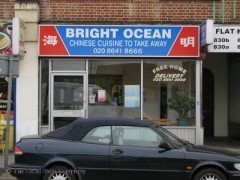 Bright Ocean image