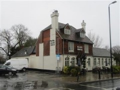 The Black Horse image