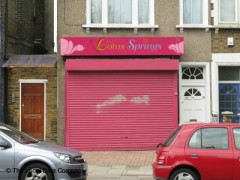 Lotus Springs image