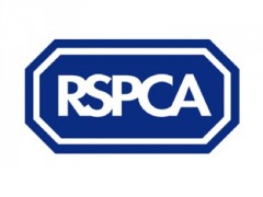 RSPCA image