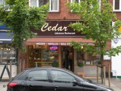Cedar Tree image