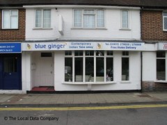 Blue Ginger image
