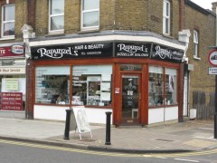 Rapunzels image