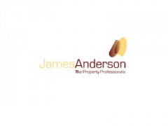 James Anderson image