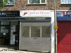 Divine Rose image