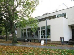 Oso image