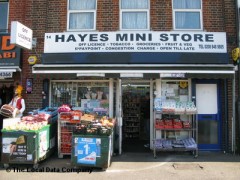 Hayes Mini Store image